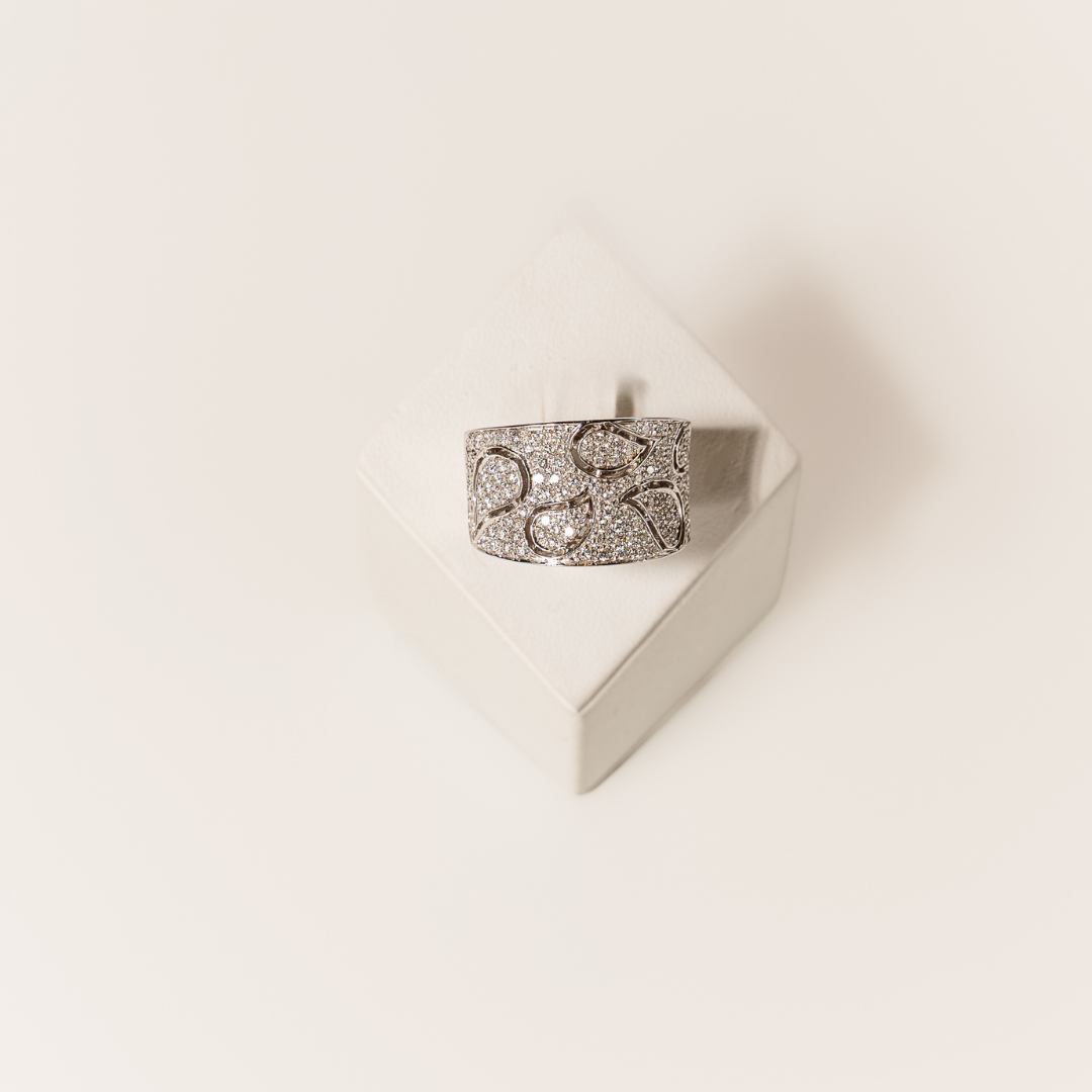 anello di gioielleria